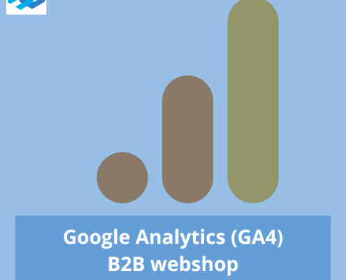 Google Analytics B2B webshop